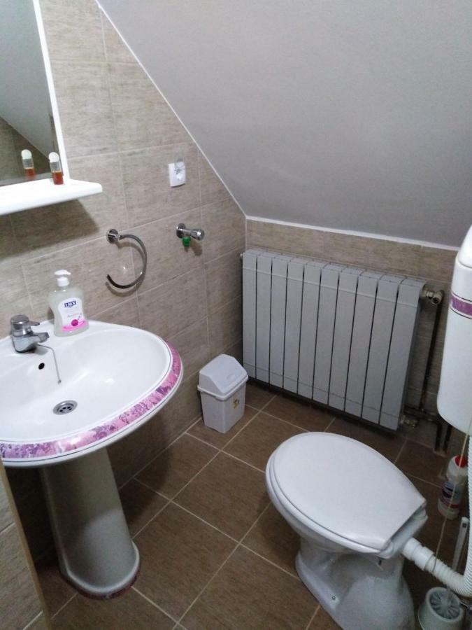 Guest House Aleksandra Bajina Basta Εξωτερικό φωτογραφία