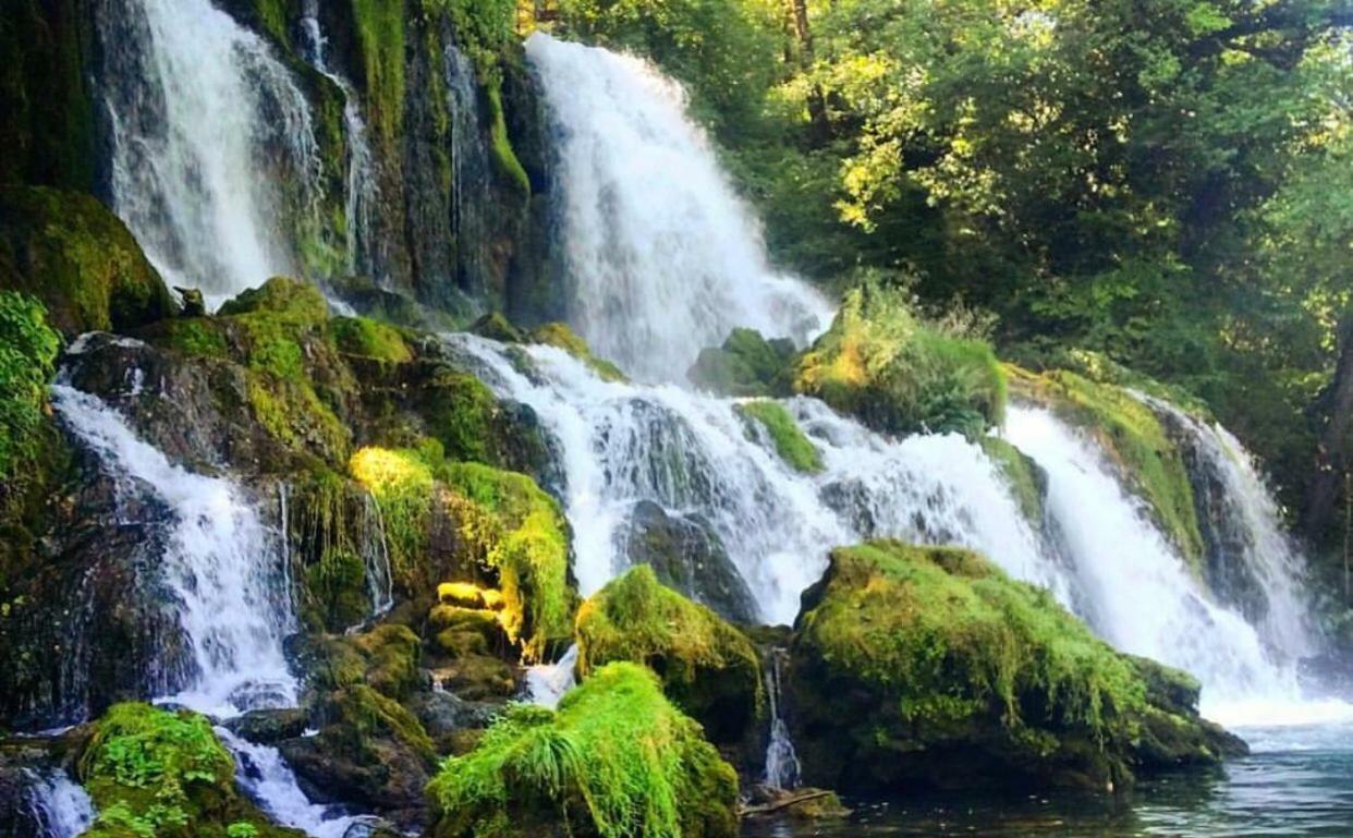 Guest House Aleksandra Bajina Basta Εξωτερικό φωτογραφία